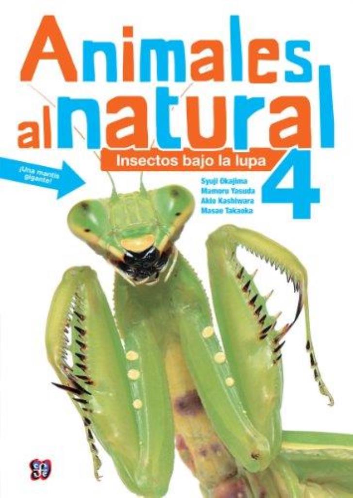 ANIMALES AL NATURAL 4. INSECTOS BAJO LA LUPA