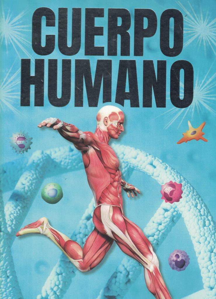 LIBROS DE GRAN FORMATO- CUERPO HUMANO