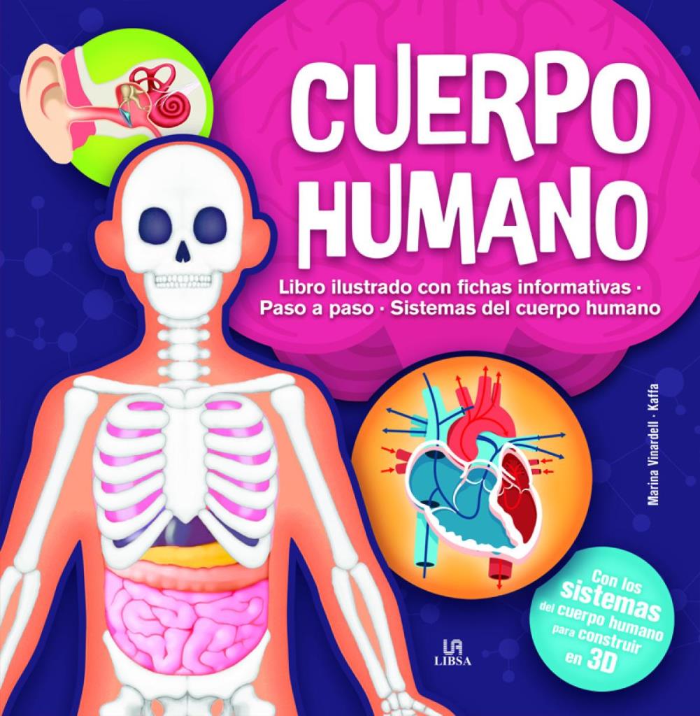 CUERPO HUMANO 3D