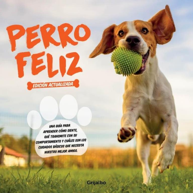 PERRO FELIZ- MASCOTAS