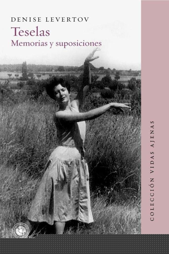 TESELAS, MEMORIAS Y SUPOSICIONES