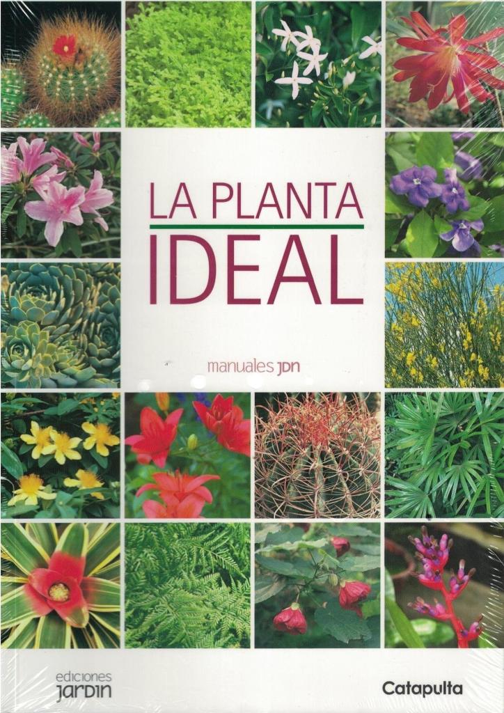 PLANTA IDEAL, LA