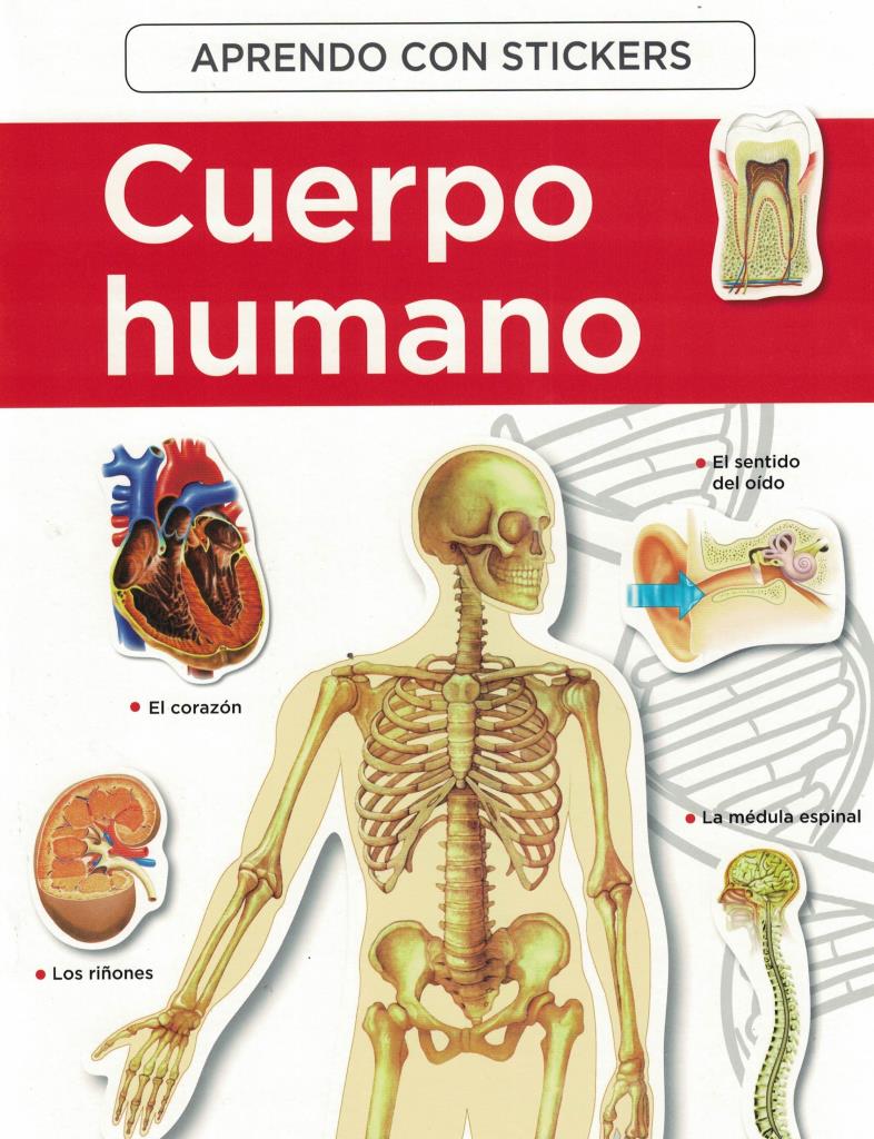 APRENDO CON STICKERS-  EL CUERPO HUMANO PEGATINAS