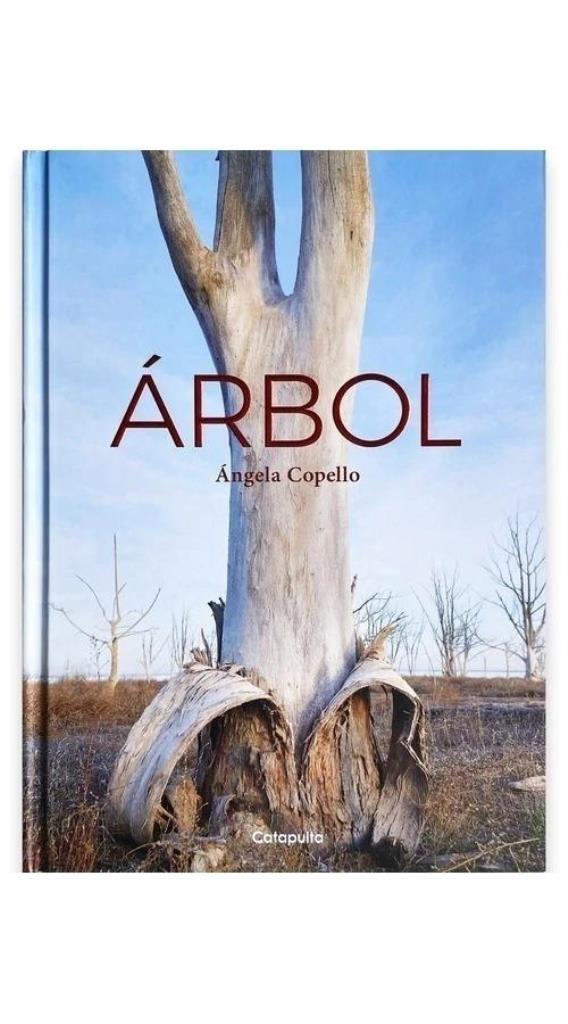 ARBOL