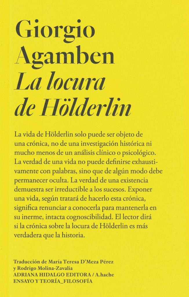 LOCURA DE HOLDERLIN, LA